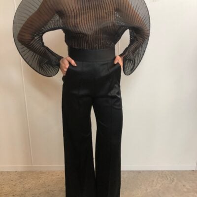 Sid Neigum Sheer Pleated Blouse - Image 2