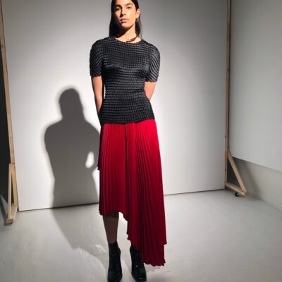 Sid Neigum Fibonacci Pleated Skirt - Image 2