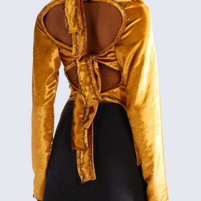 Sid Neigum Gold Velvet Tie Back Long Sleeve Blouse - Image 2