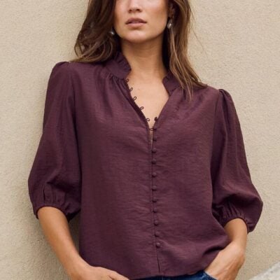 Ivy + Jack Continuance Chocolate Semi Sheer High Neck Buttoned Short Sleeve Top