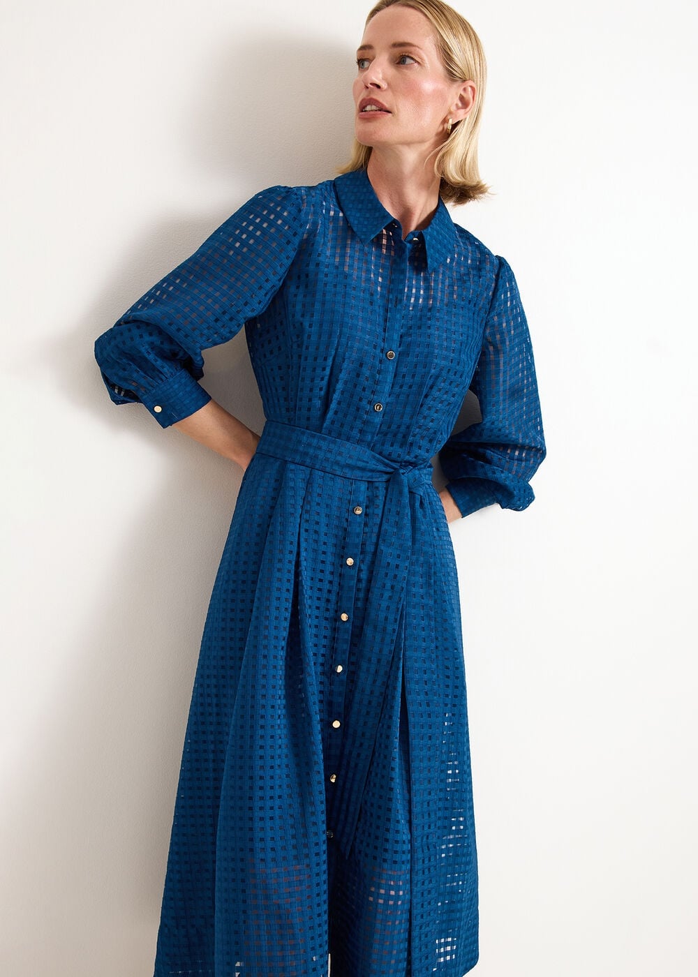 Phase Eight Natalie Plain Dress