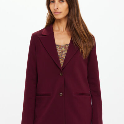 THE UPSIDE Mendoza Boyfriend Blazer