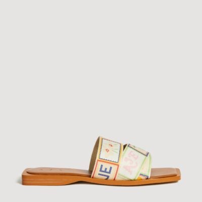 Aje Veda Slide - Image 1
