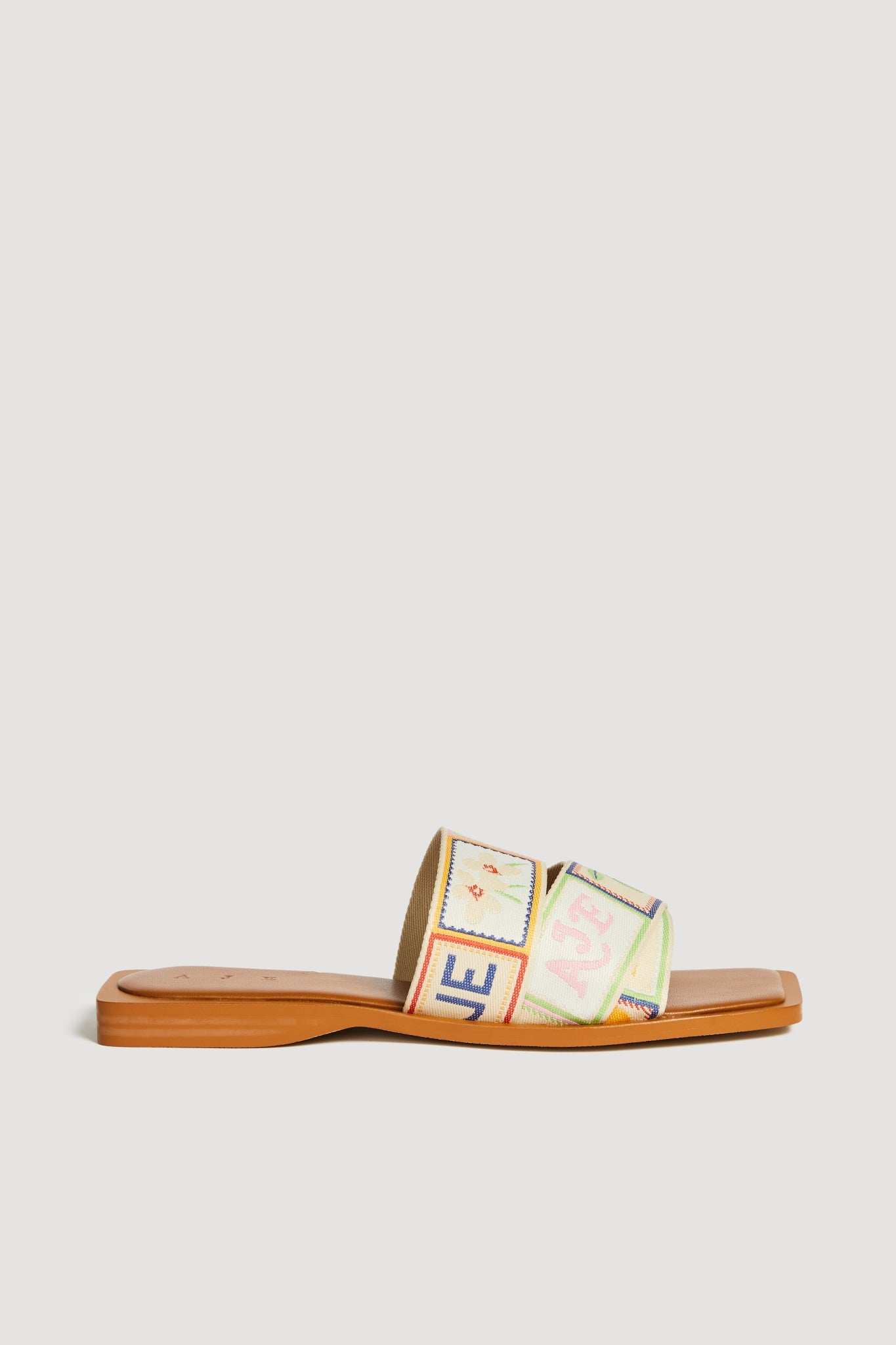Aje Veda Slide - Image 1