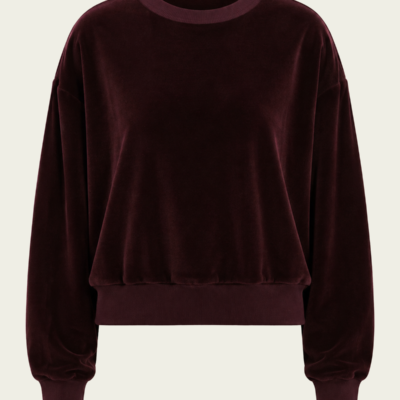 Citizens of Humanity Vintage Velour Crewneck - Image 1