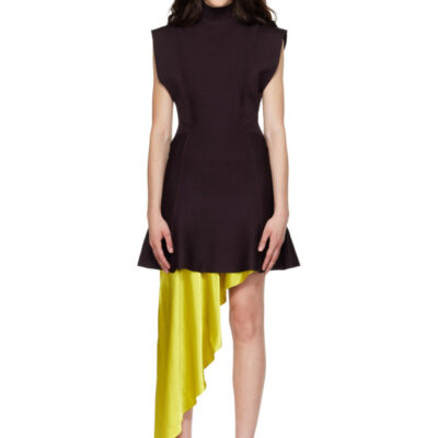 Alaïa Burgundy Silk Knit Minidress