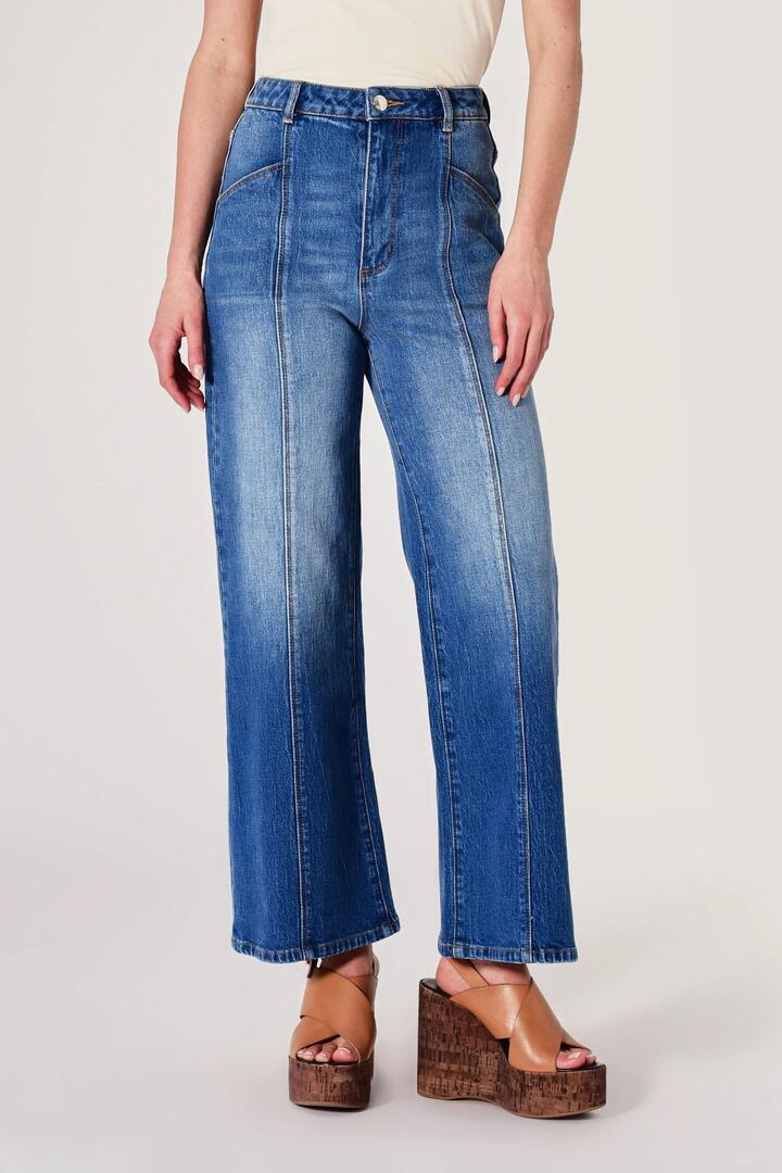 Rollas Sailor Silverlake Blue Deco Wide Long Jean