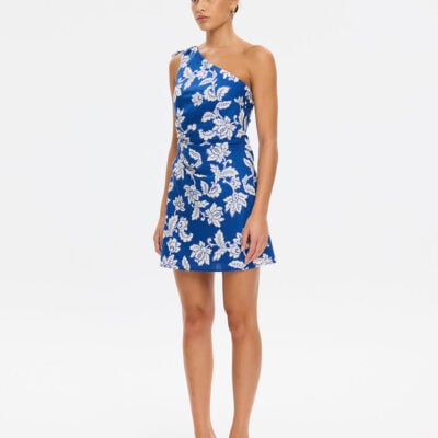 Kivari Linda Mini Dress - Image 2