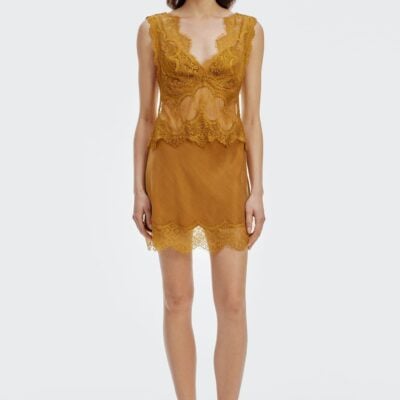 Third Form Visions Lace Mini Dress | Patina - Image 1