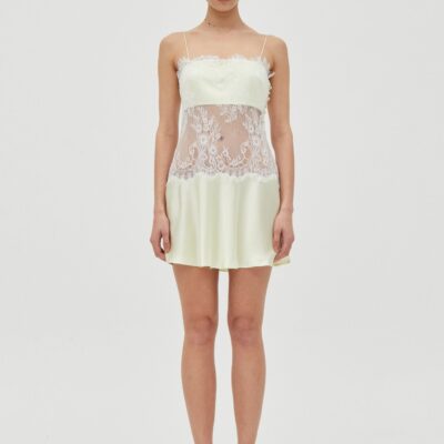 Third Form Poetry Lace Mini Dress | Lemonade - Image 1