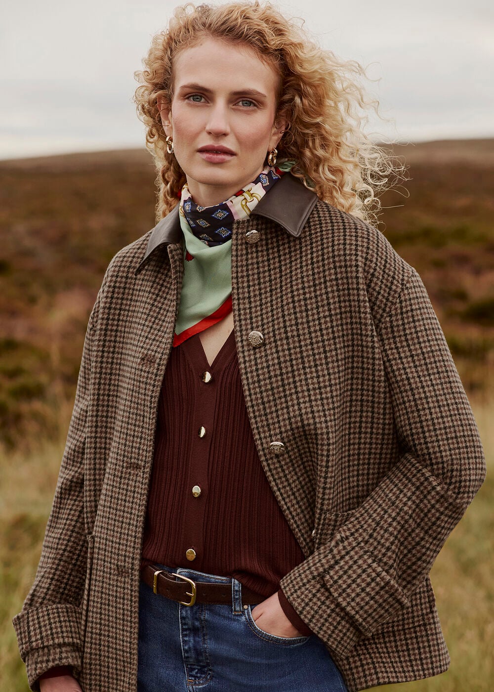 Hobbs Rachel Wool Blend Coat