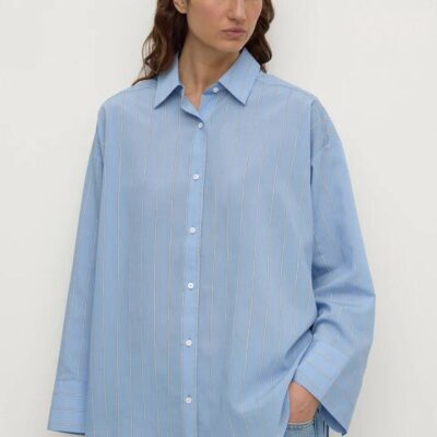 Assembly Label Delaney Blue Italian Stripe Shirt