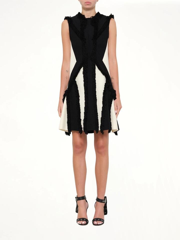 Lanvin Dress