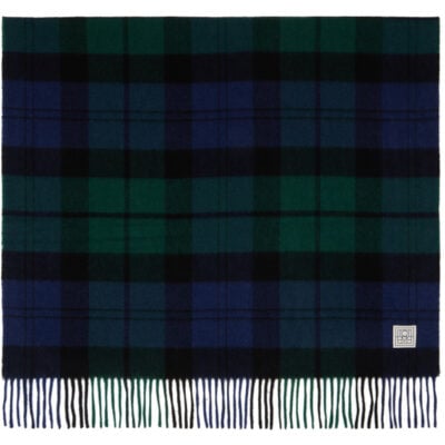 Totême Green & Navy Checked Cashmere Scarf